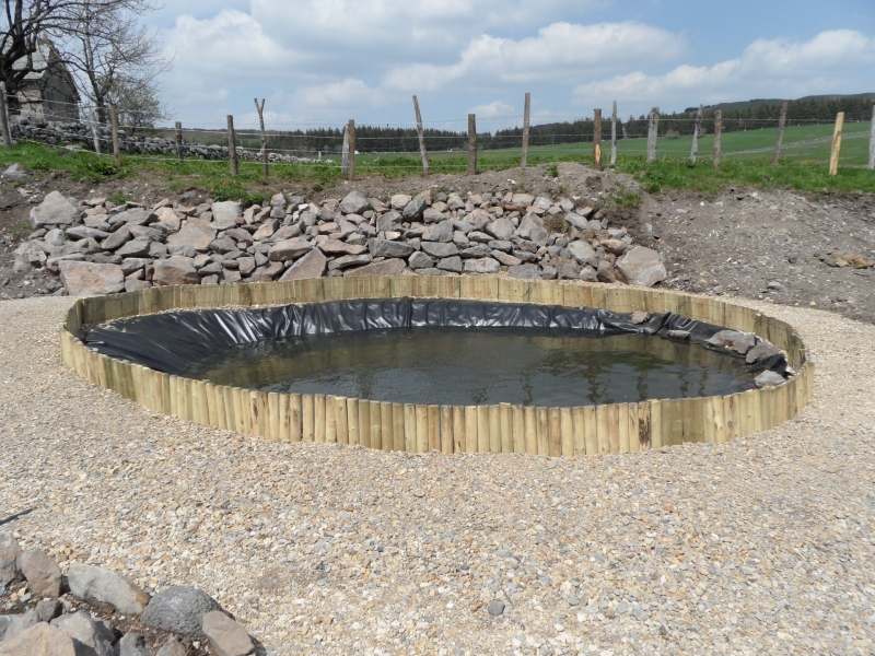 Aménagement de la tourbière au Jardin botanique de l'Aubrac