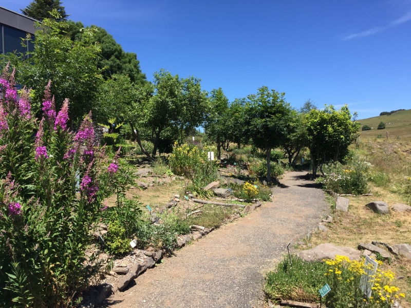 Floraisons au Jardin botanique de l'Aubrac